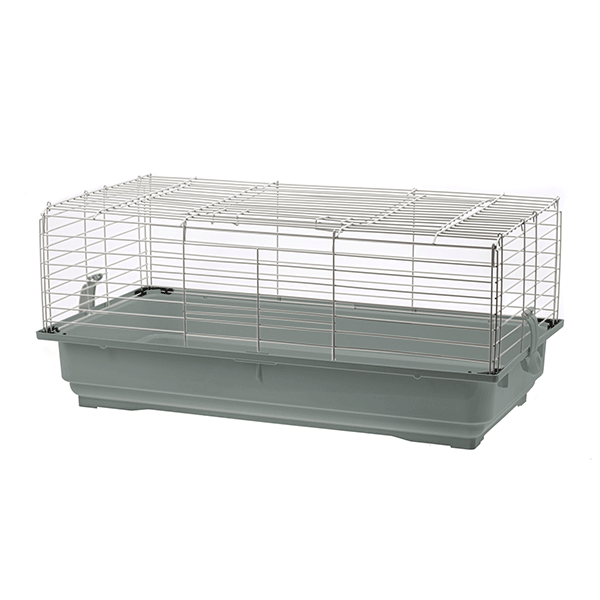 Image 0