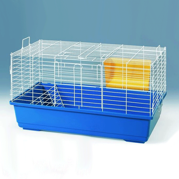Image 0